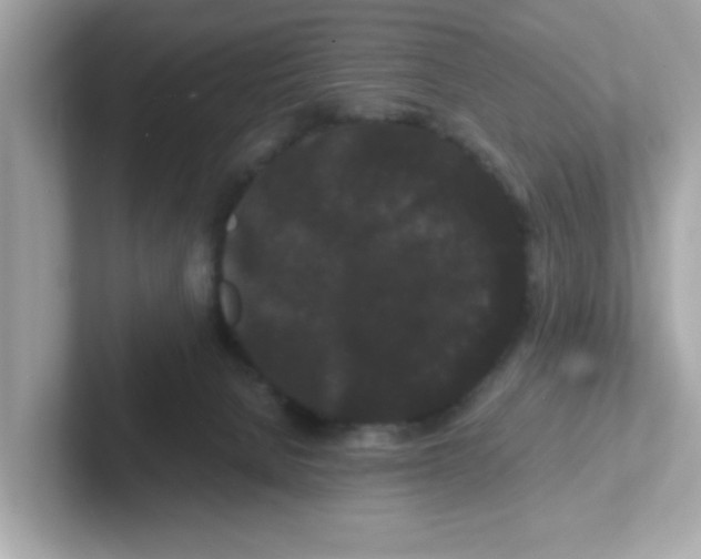 X0000101100080200807241036