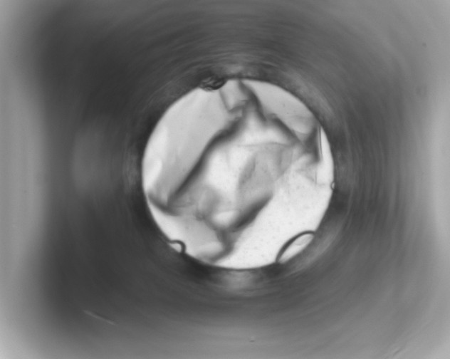 X0000101100085200807241036