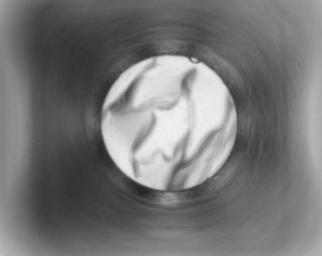 X0000101100091200807241036