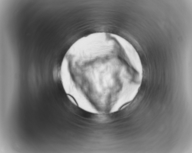 X0000101100095200807241036
