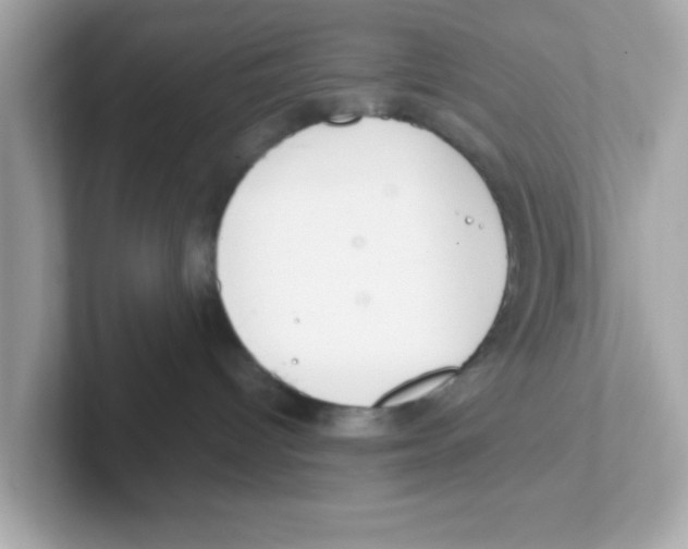 X0000101100096200807241036
