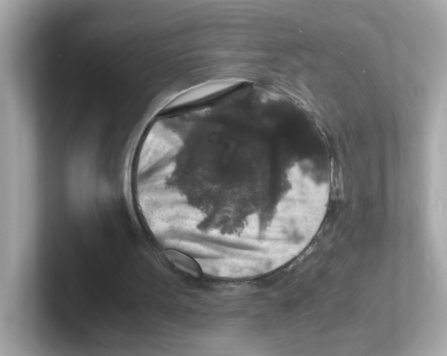 X0000101100099200807241036