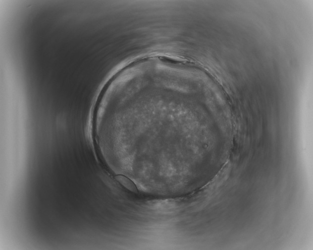 X0000101100100200807241036