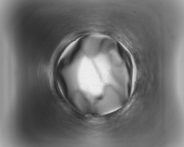 X0000101100101200807241036