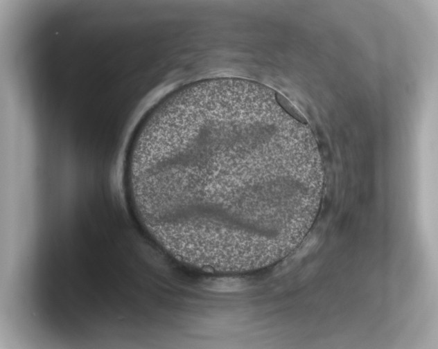 X0000101100104200807241036