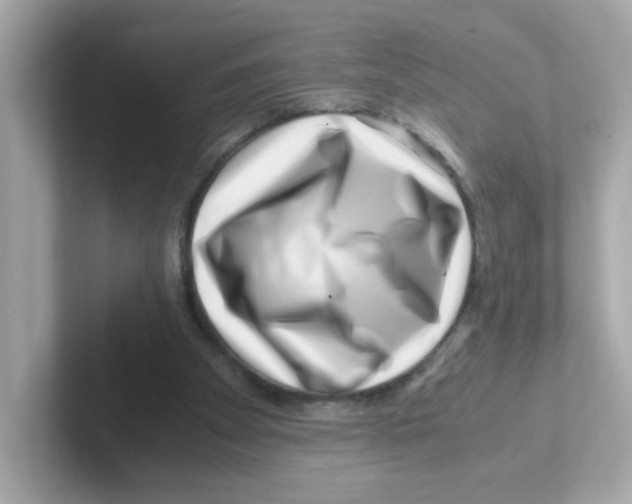 X0000101100105200807241036