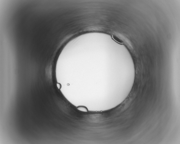 X0000101100108200807241036