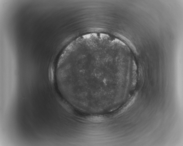 X0000101100110200807241036