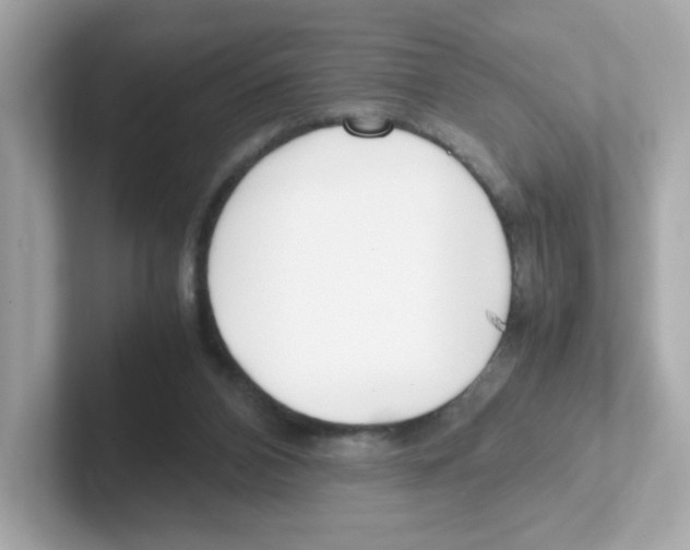 X0000101100112200807241036