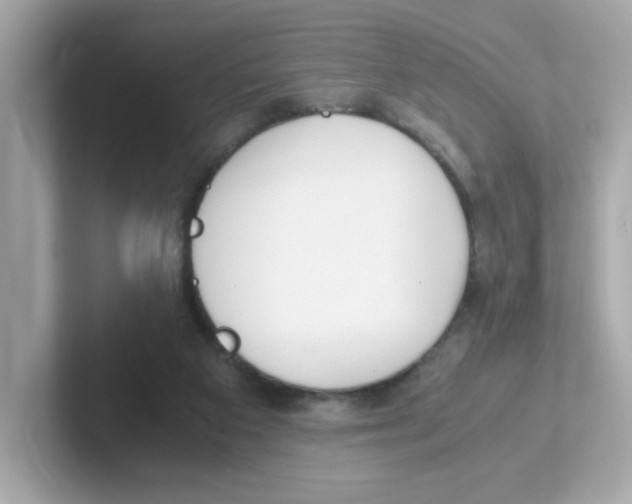 X0000101100113200807241036