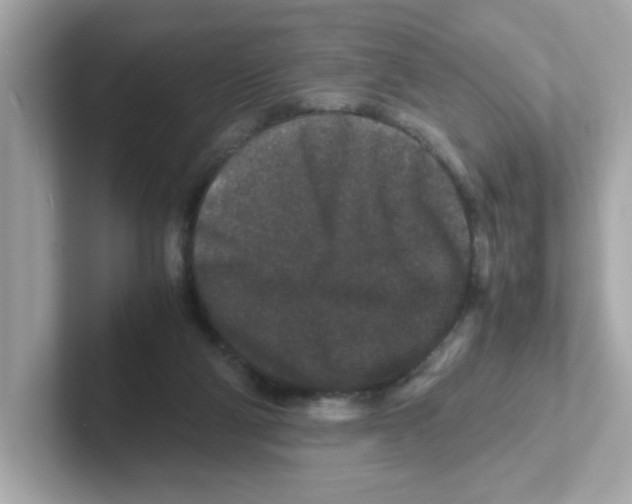 X0000101100114200807241036
