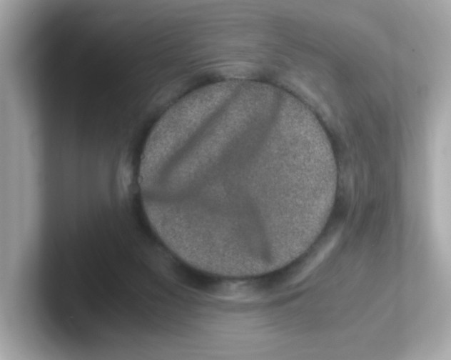 X0000101100117200807241036
