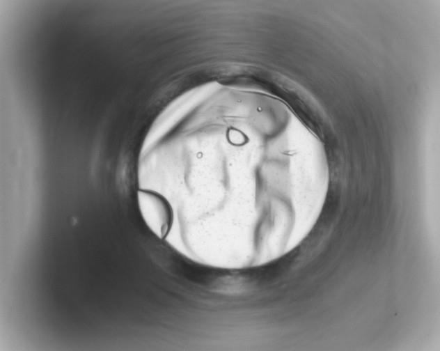 X0000101100119200807241036