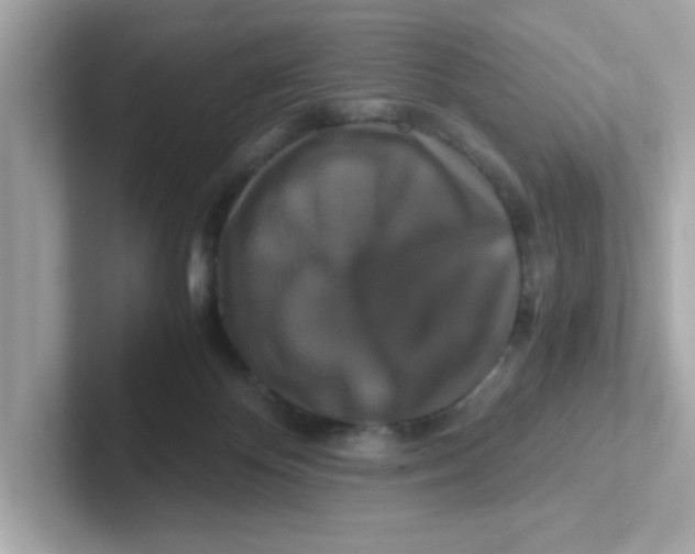 X0000101100124200807241035