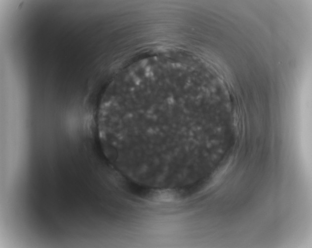 X0000101100127200807241035