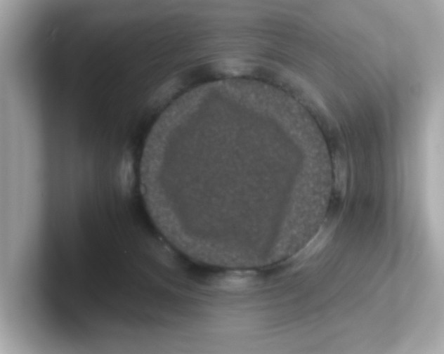 X0000101100128200807241035