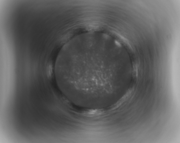 X0000101100130200807241035