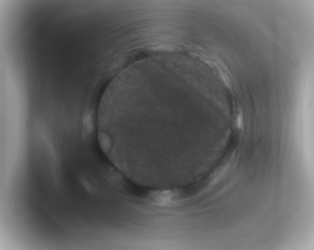 X0000101100131200807241035