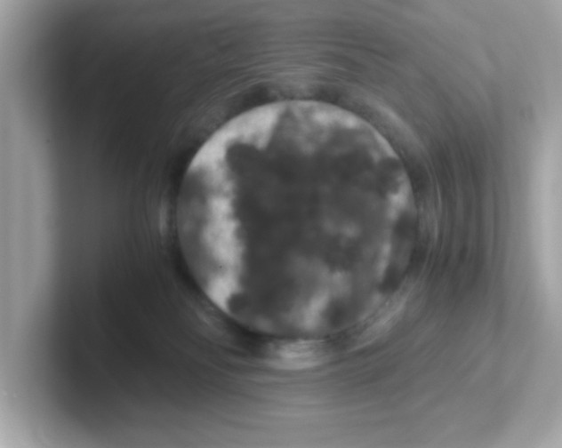 X0000101100134200807241035