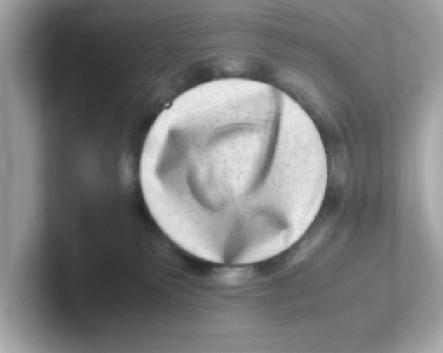 X0000101100135200807241035