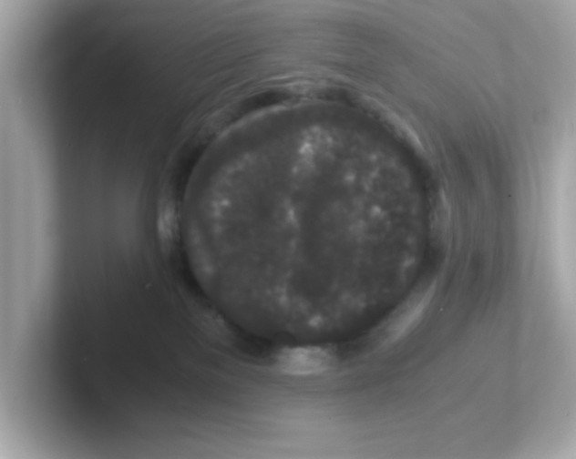 X0000101100137200807241035