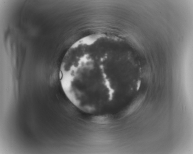 X0000101100139200807241035