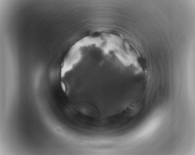 X0000101100143200807241035