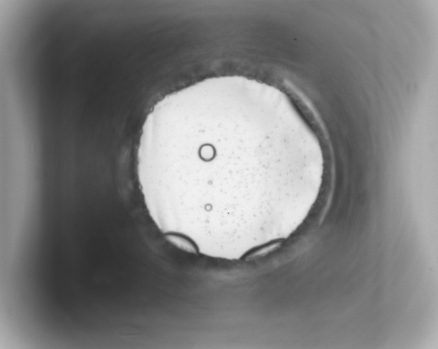 X0000101100144200807241035