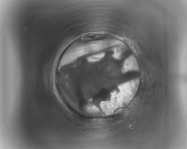 X0000101100145200807241035