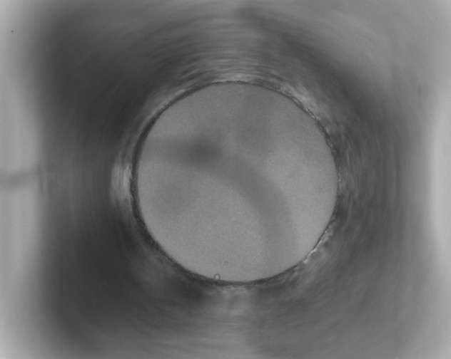 X0000101100146200807241035