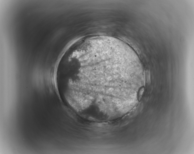 X0000101100147200807241035