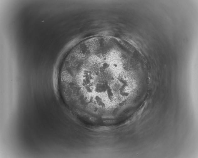 X0000101100149200807241035