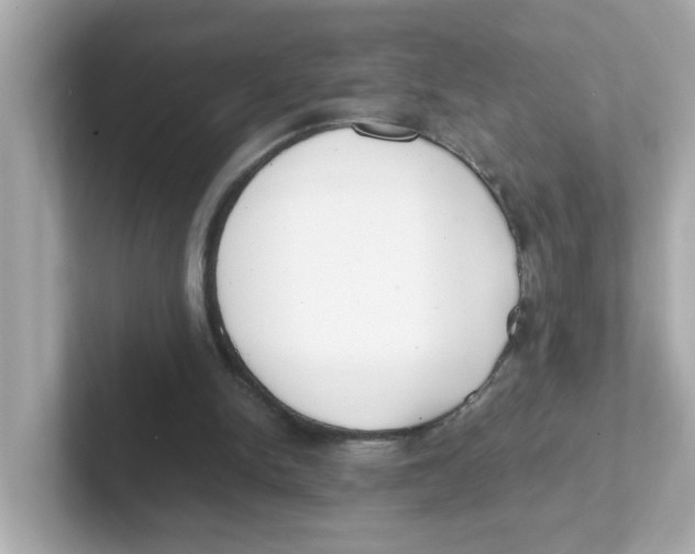 X0000101100150200807241035