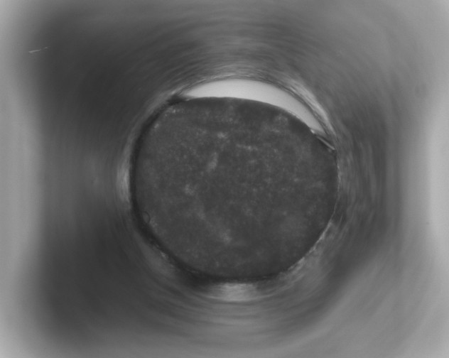 X0000101100154200807241035