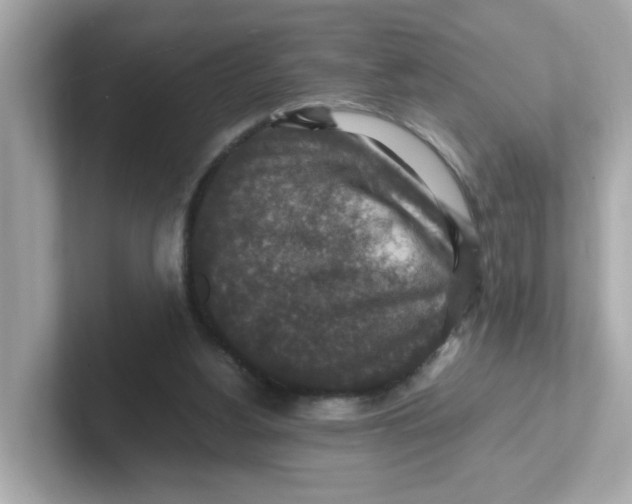X0000101100156200807241035