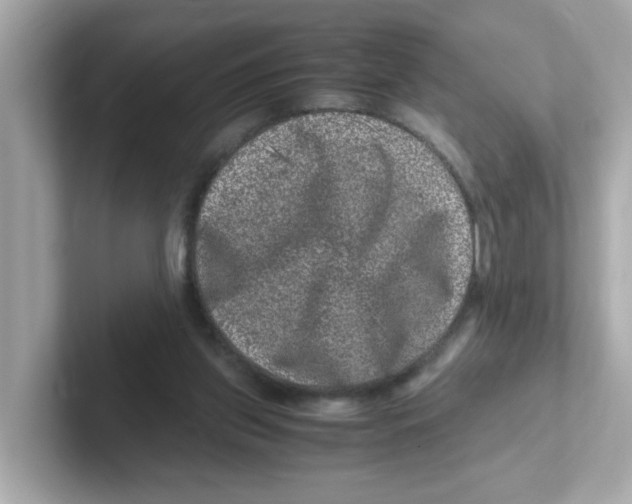 X0000101100157200807241035