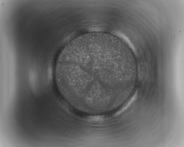 X0000101100161200807241035