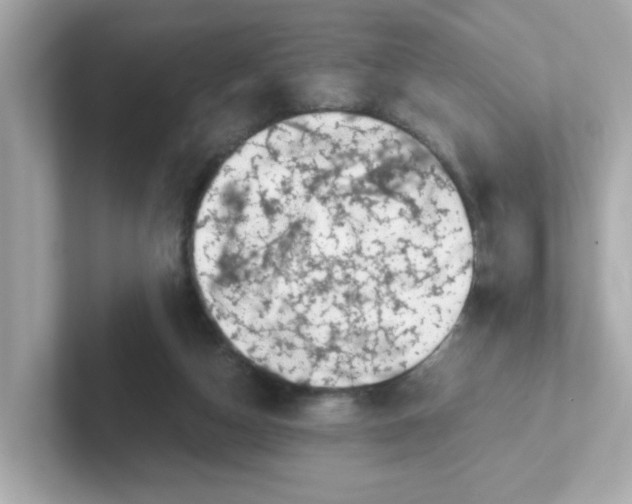 X0000101100162200807241035