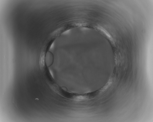 X0000101100163200807241035