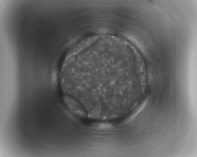 X0000101100165200807241035