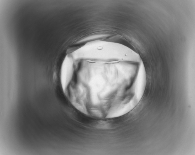 X0000101100166200807241035