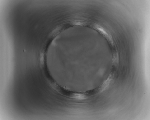 X0000101100167200807241035