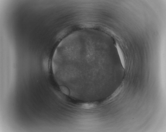 X0000101100168200807241035