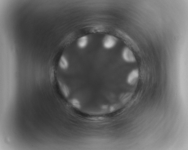 X0000101100169200807241035