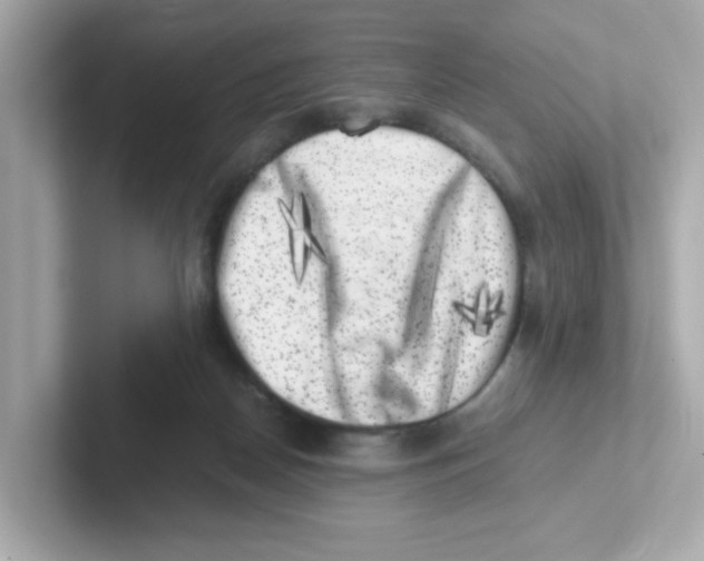 X0000101100170200807241035