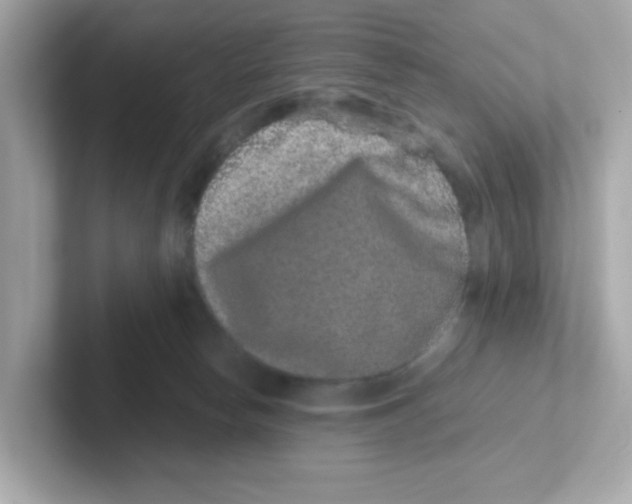 X0000101100178200807241035