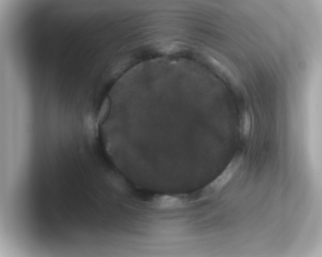 X0000101100180200807241035