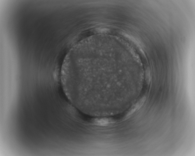 X0000101100181200807241035