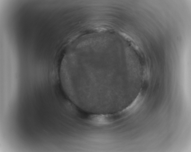 X0000101100182200807241035