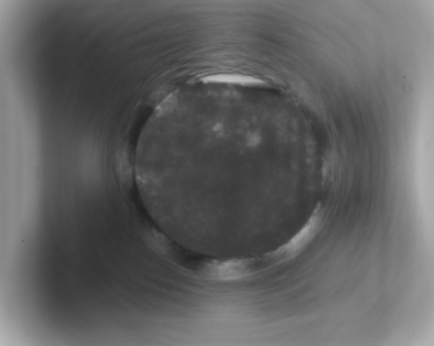 X0000101100186200807241035